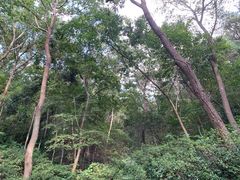 -南山风景名胜区