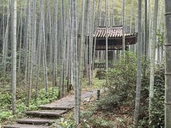 -黄公望隐居地