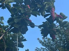 -麻麻鱼府主题涮锅(明珠家园店)