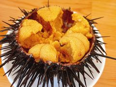 活海胆-海胆小馆(春柳店)