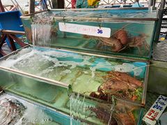 -旗鱼海番村(Orang Asli)