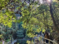 -石台牯牛降景区