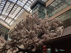 -嘉悦汗蒸时代(曙光路店)