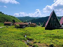 -关山草原