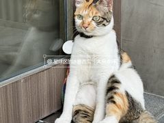 -Again Coffee Roaster(香蜜湖店)