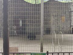 -贵州森林野生动物园