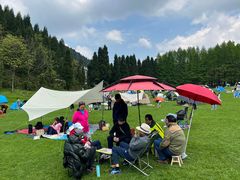 -武陵山森林公园