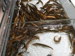 -永辉超市(泰州万达广场店)