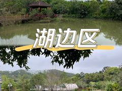 -林丰温泉度假山庄