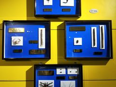 -上海昆虫博物馆