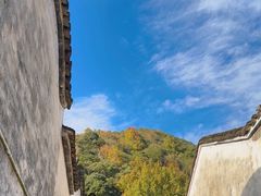 -石台牯牛降景区