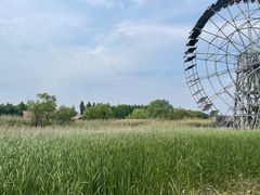 -苏州太湖湖滨国家湿地公园