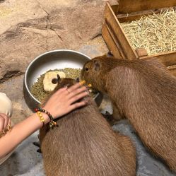 -Zoolung Zoolung动物主题公园(海信广场店)