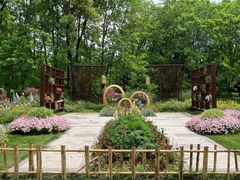 -上海共青森林公园