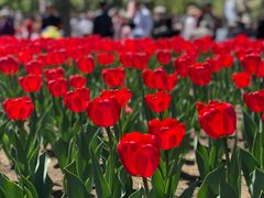 -长春公园(普阳街道)