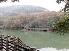 -白马涧龙池景区