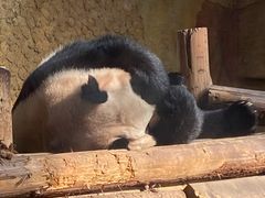 -常州淹城野生动物世界