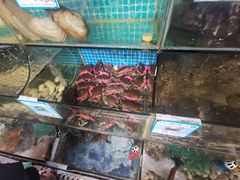 -范饭椰林川湘味海鲜·椰子鸡(三亚湾椰梦长廊店)