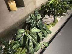-施奈儿.洗头頭療.按摩SPA.采耳(上梅林店)