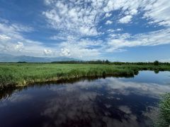 -野鸭湖国家湿地公园