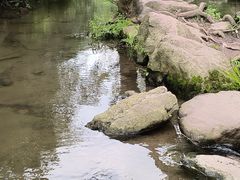 -重庆彩云湖湿地公园