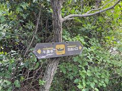 -午潮山国家森林公园