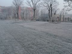 -南开大学滨海学院