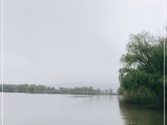 -长兴太湖图影湿地文化园