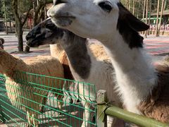 -贵州森林野生动物园