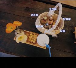 -琦品高端美容SPA会所