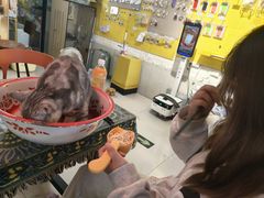 -平行世界·猫咖(首经贸店)