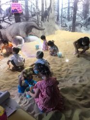 点击看大图 -恐龙探索乐园(磁器口店)