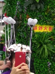 点击看大图 -艺之剪
