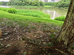 -艾溪湖湿地公园