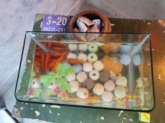 -319集结地真人CS·团建·轰趴体验馆·室内(上地店)