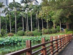 -光明港公园