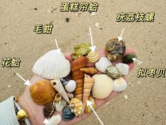 -万尾金滩