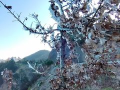 -江西阳明山国家森林公园