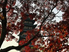 -上海方塔园