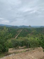 -浅山蜜塘奇妙乐园·亲子营地