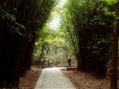 android_upload_pic-广州市石门国家森林公园
