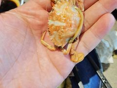 大飞蟹-凯悦·东方公主号 全球海鲜自助餐厅(凯丹广场店)