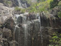 -海南热带雨林国家公园吊罗山景区
