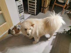 -肆兮眼镜·蔡司·徕卡战略合作店(大坪店)