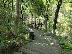 -天目湖山水园