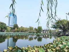 -无锡蠡湖国家湿地公园-蠡园