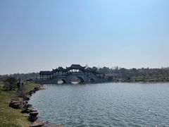 -上海海湾国家森林公园