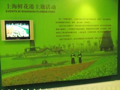 -上海鲜花港