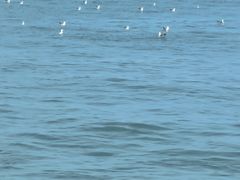 -山东政协大厦维景大酒店