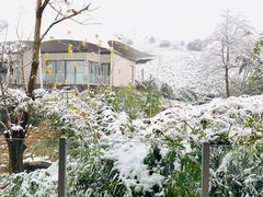 -帐篷客·溪龙茶谷度假酒店